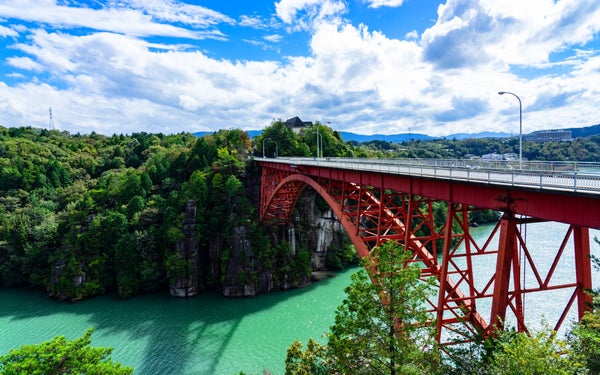『春だけの桃源郷と天空の楽園へ 花桃の里と阿智村「日本一の星空ナイトツアー」 2日間』2